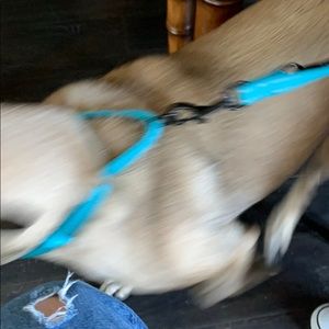 Meet your Posher, Samuel